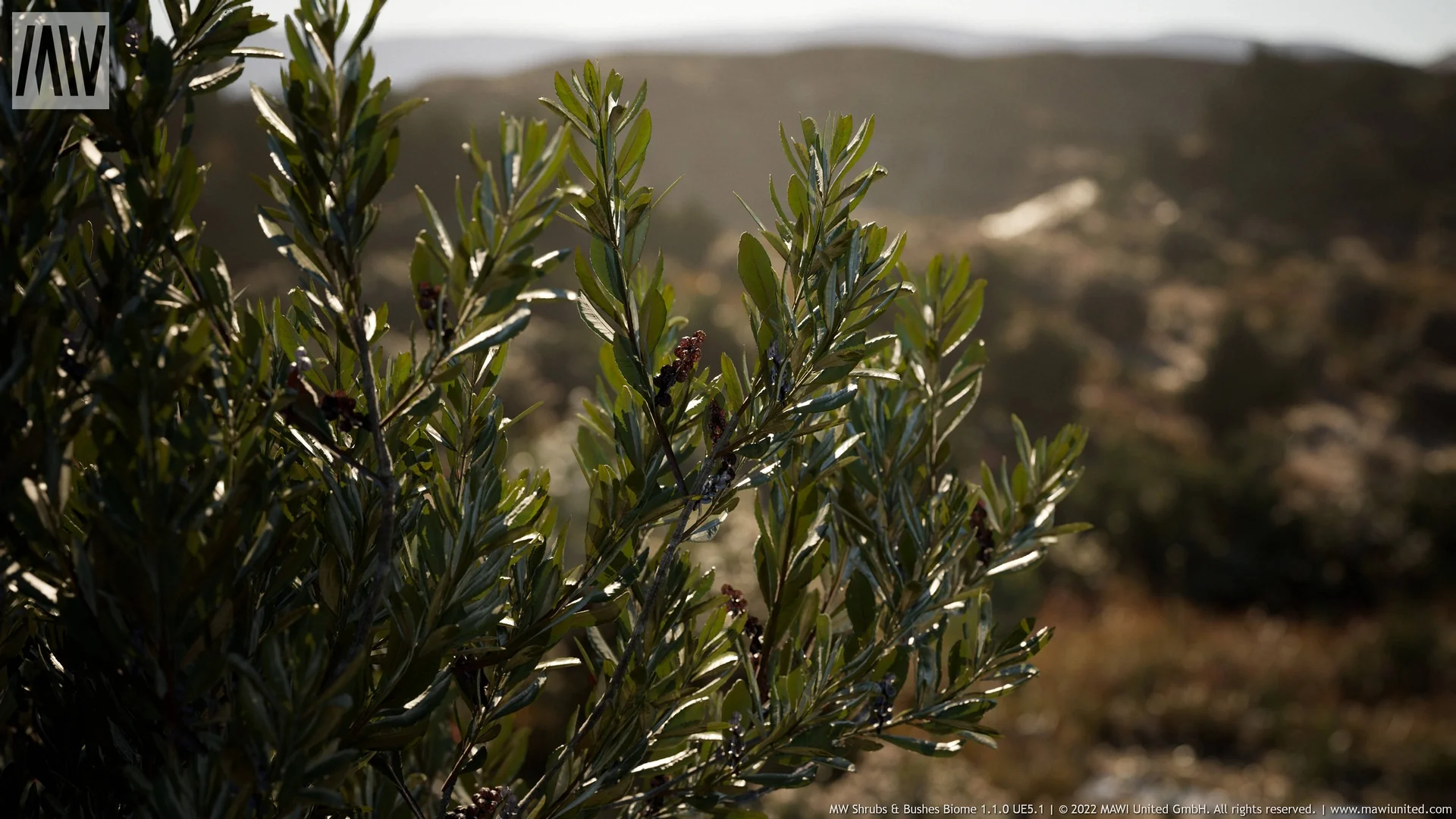 MW Shrubs & Bushes Biome asset