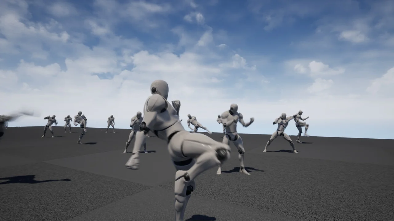 Martial Arts Pro asset