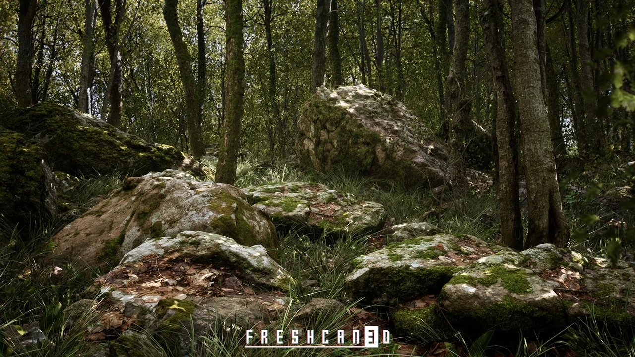 Procedural Oak Forest ( Forest , Winter Forest , Spring Forest , Autumn Forest ) asset