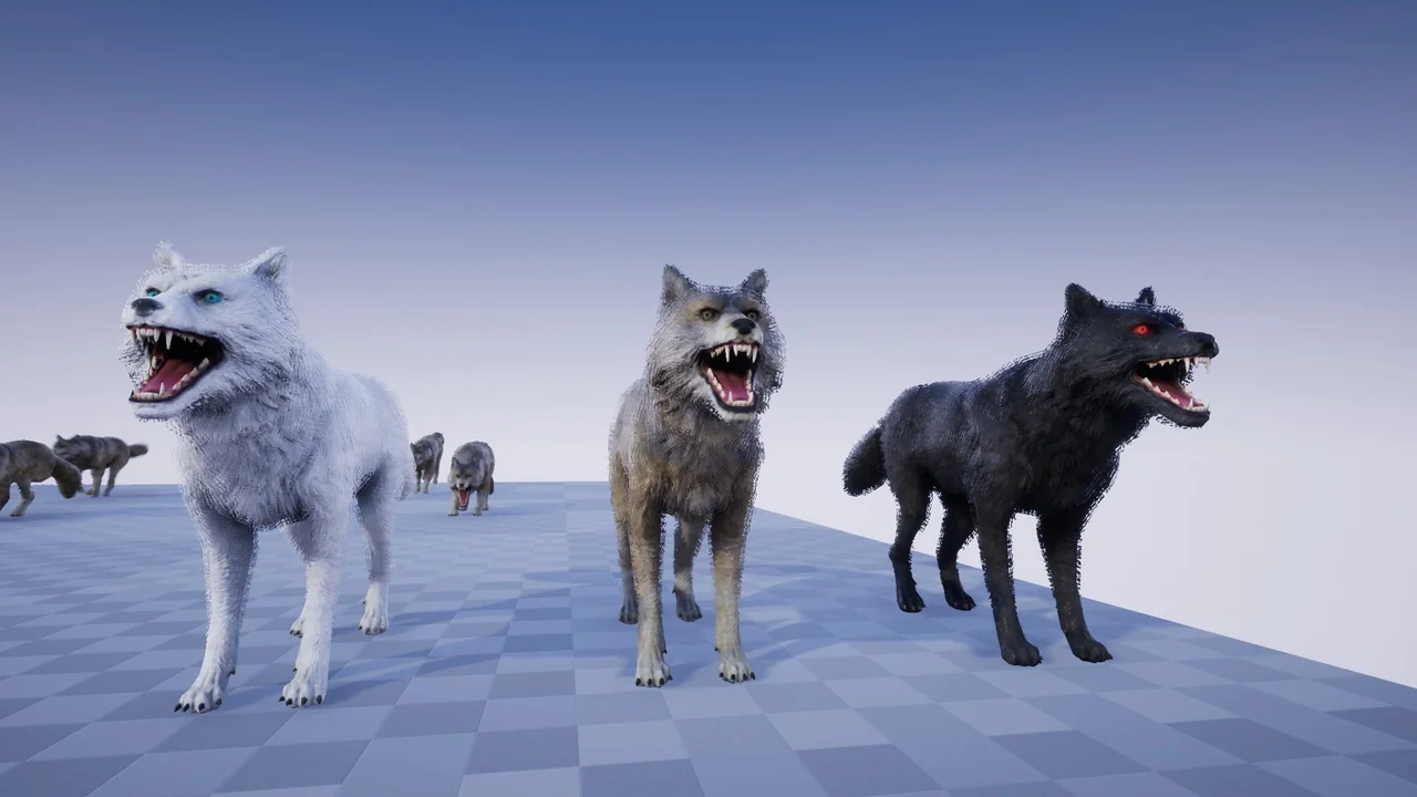 ANIMAL VARIETY PACK asset