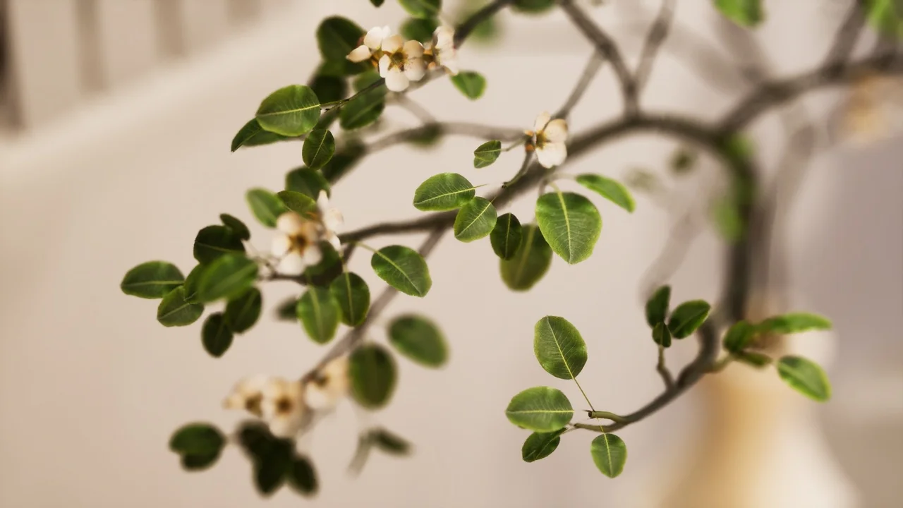 FlowerDecor Vol.9 asset