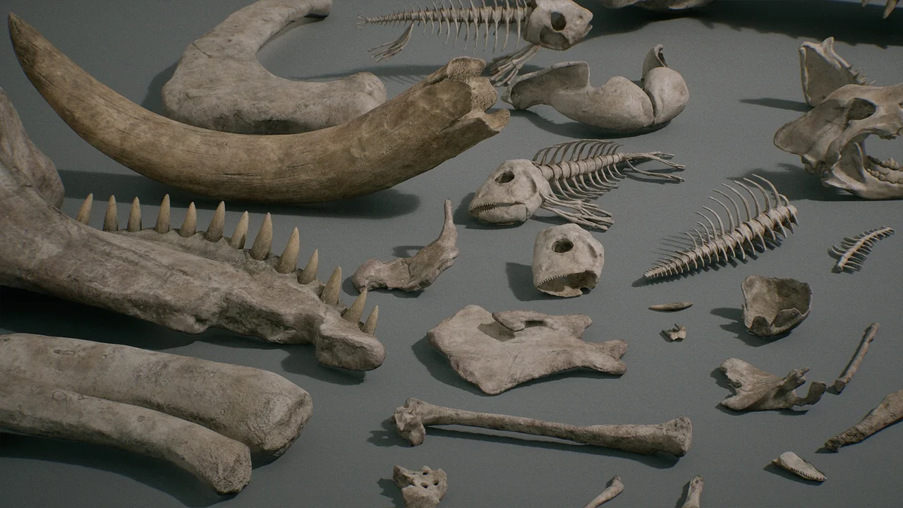 Bones VOL.1 – Animal Bones 1 (Nanite + Low Poly) asset