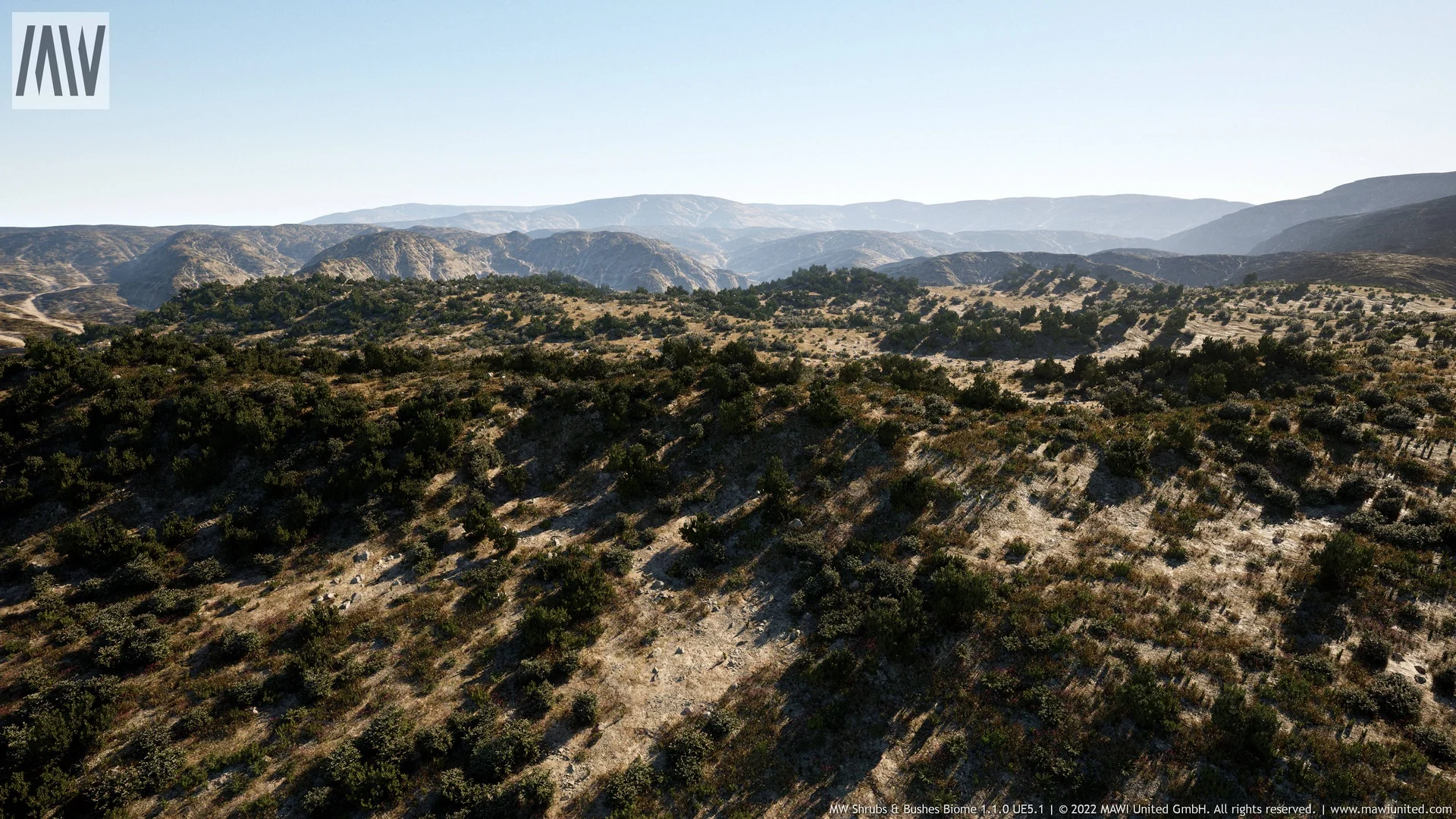 MW Shrubs & Bushes Biome asset