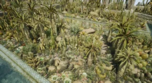 Cactus Plants: Desert Garden