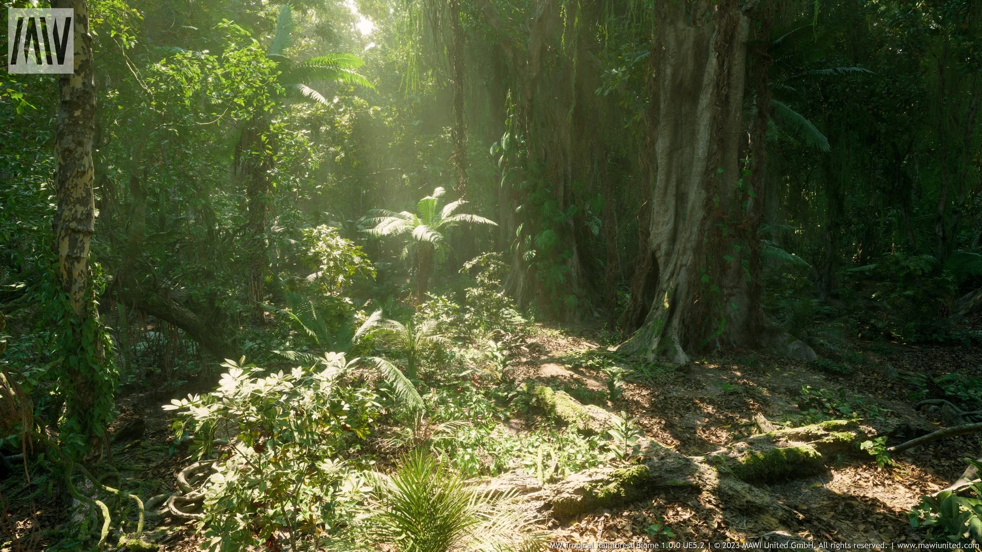 MW Tropical Rainforest Trees Biome asset