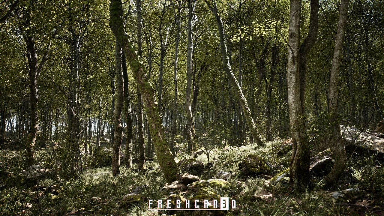 Procedural Oak Forest ( Forest , Winter Forest , Spring Forest , Autumn Forest ) asset