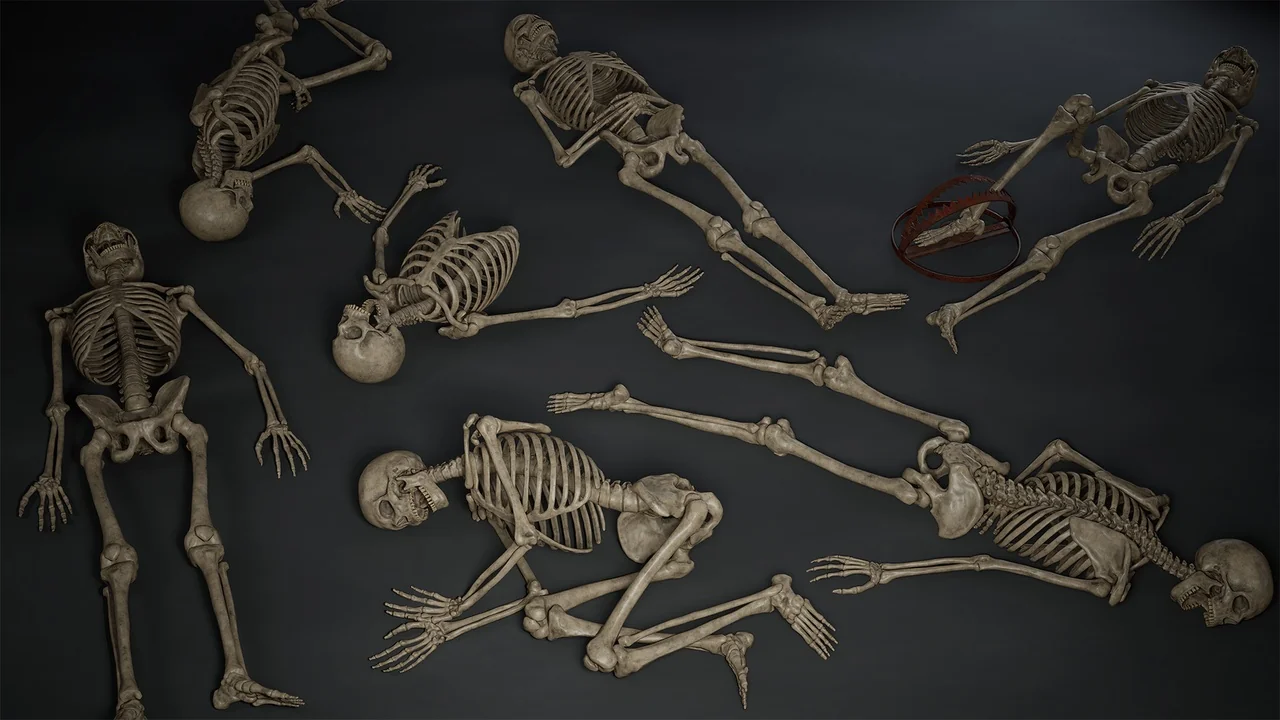 Skeleton Bones asset