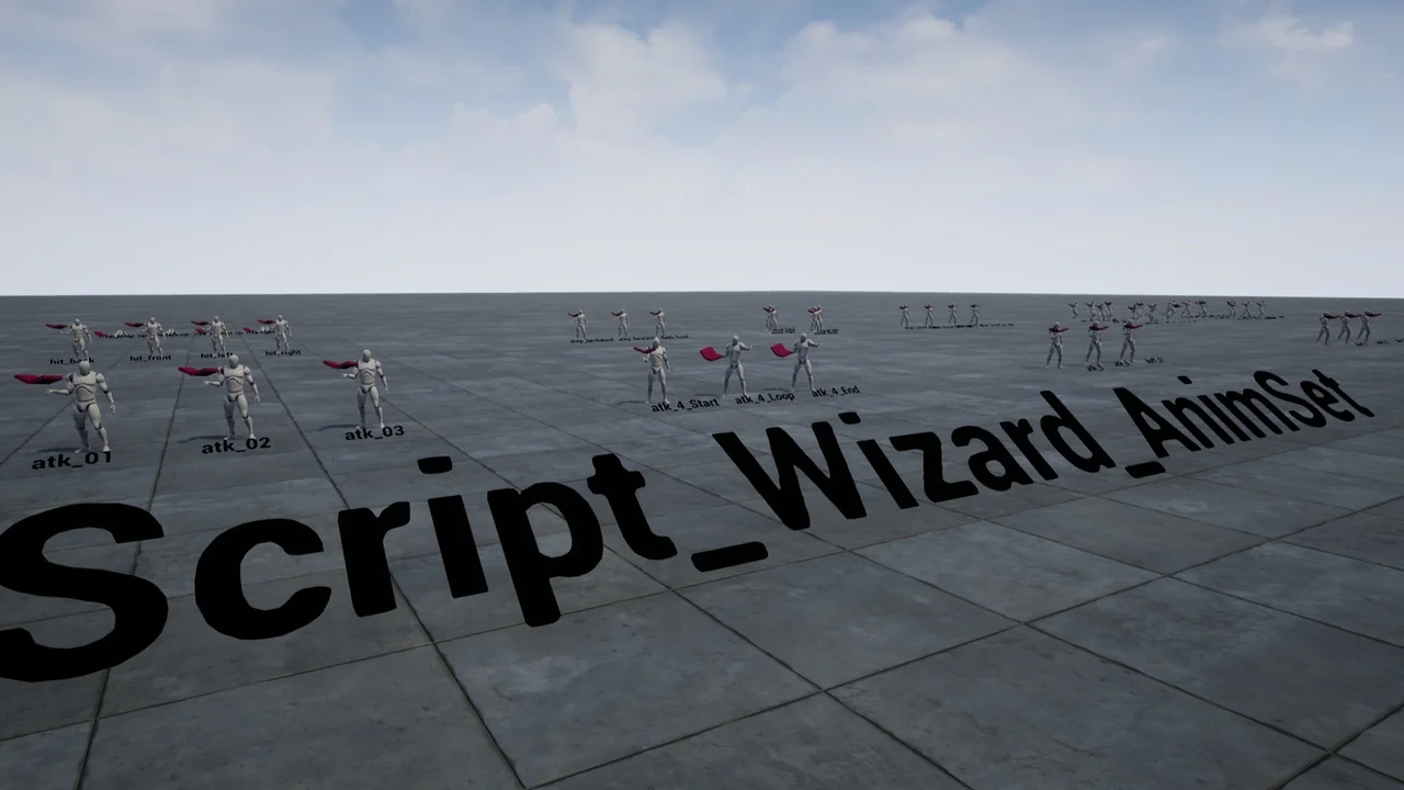 Script Wizard Anim Set asset
