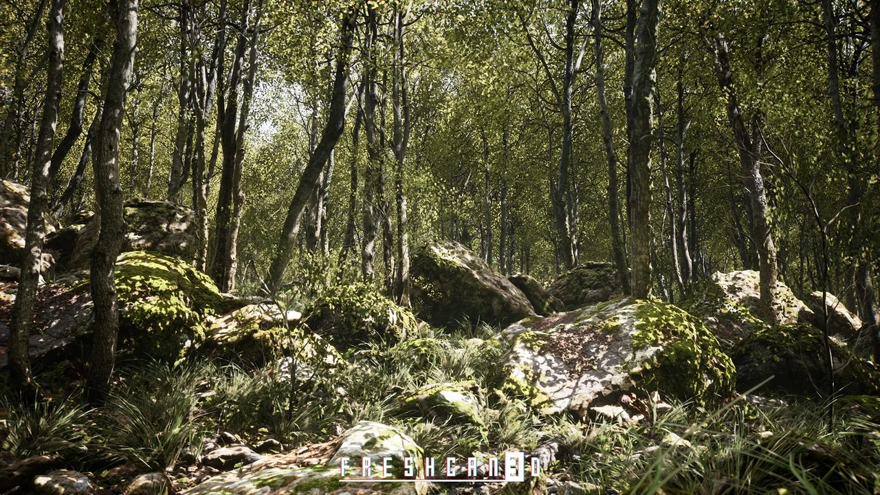 Procedural Oak Forest ( Forest , Winter Forest , Spring Forest , Autumn Forest ) asset