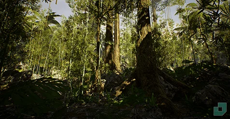 Low Poly Rainforest Pack