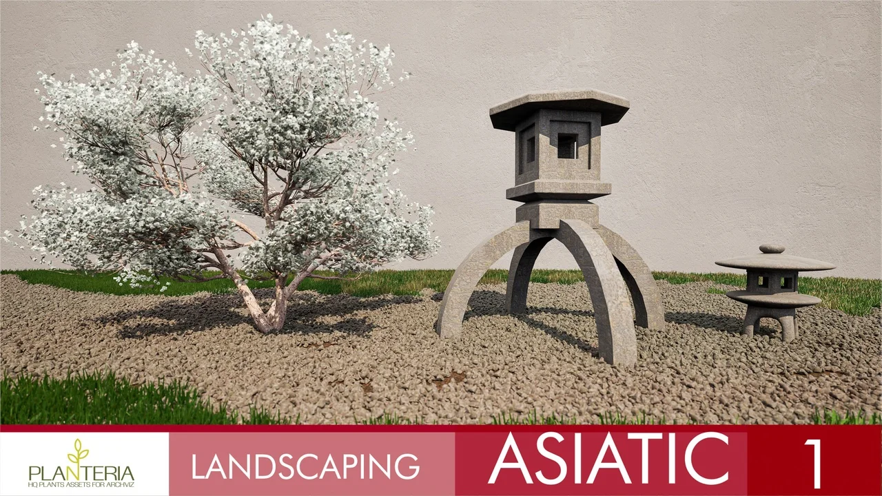 Landscaping Asiatic 1 asset