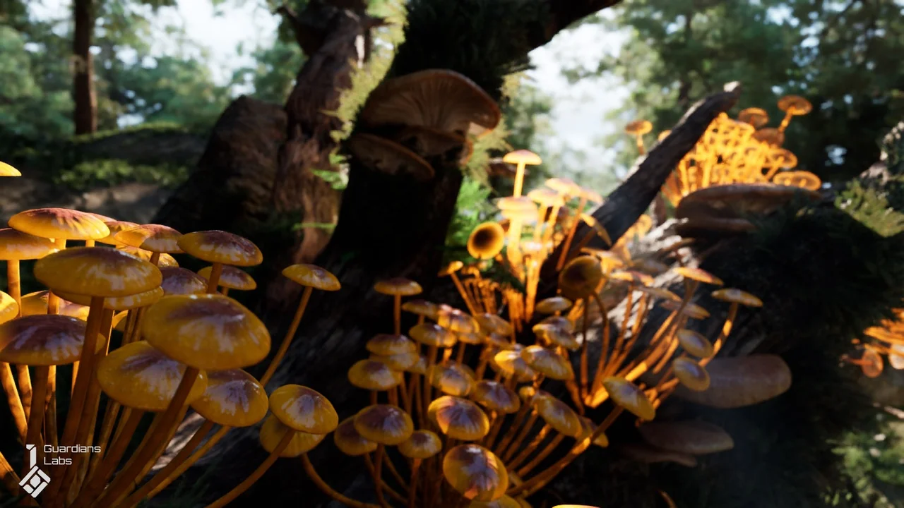 Forest Fungi – Mushroom Pack asset