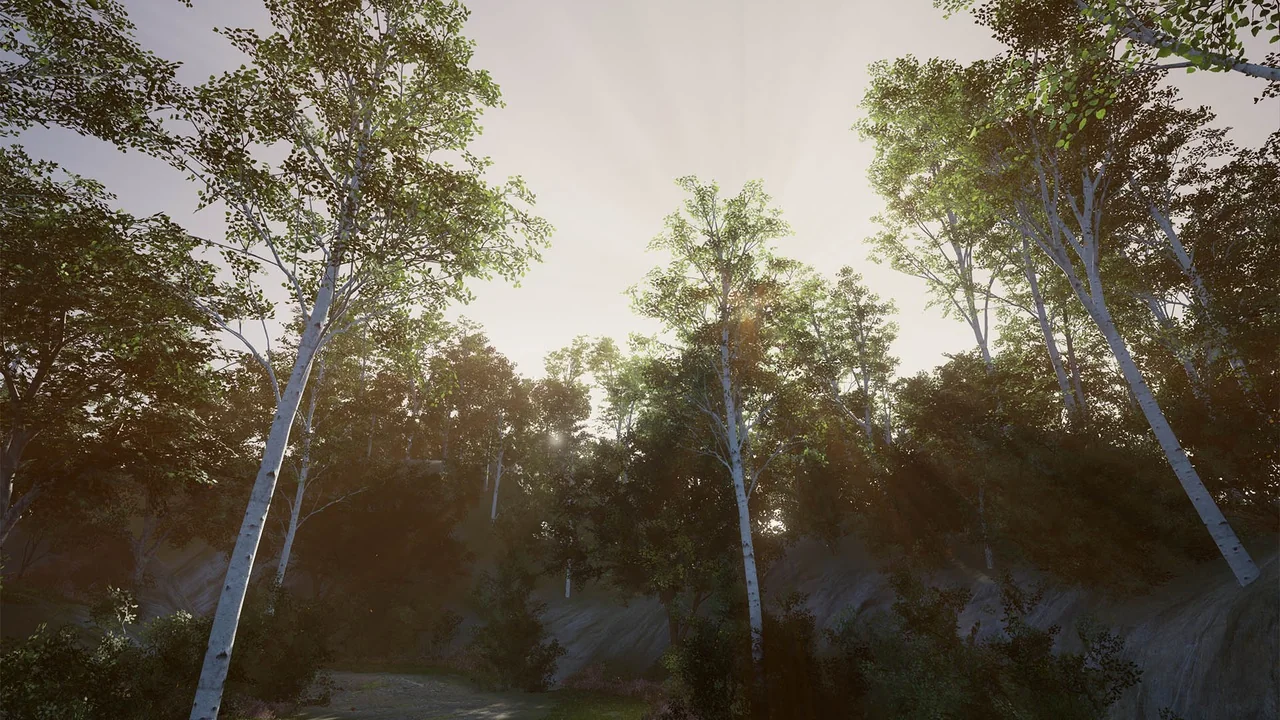 XBH TREE Vol. 1 asset