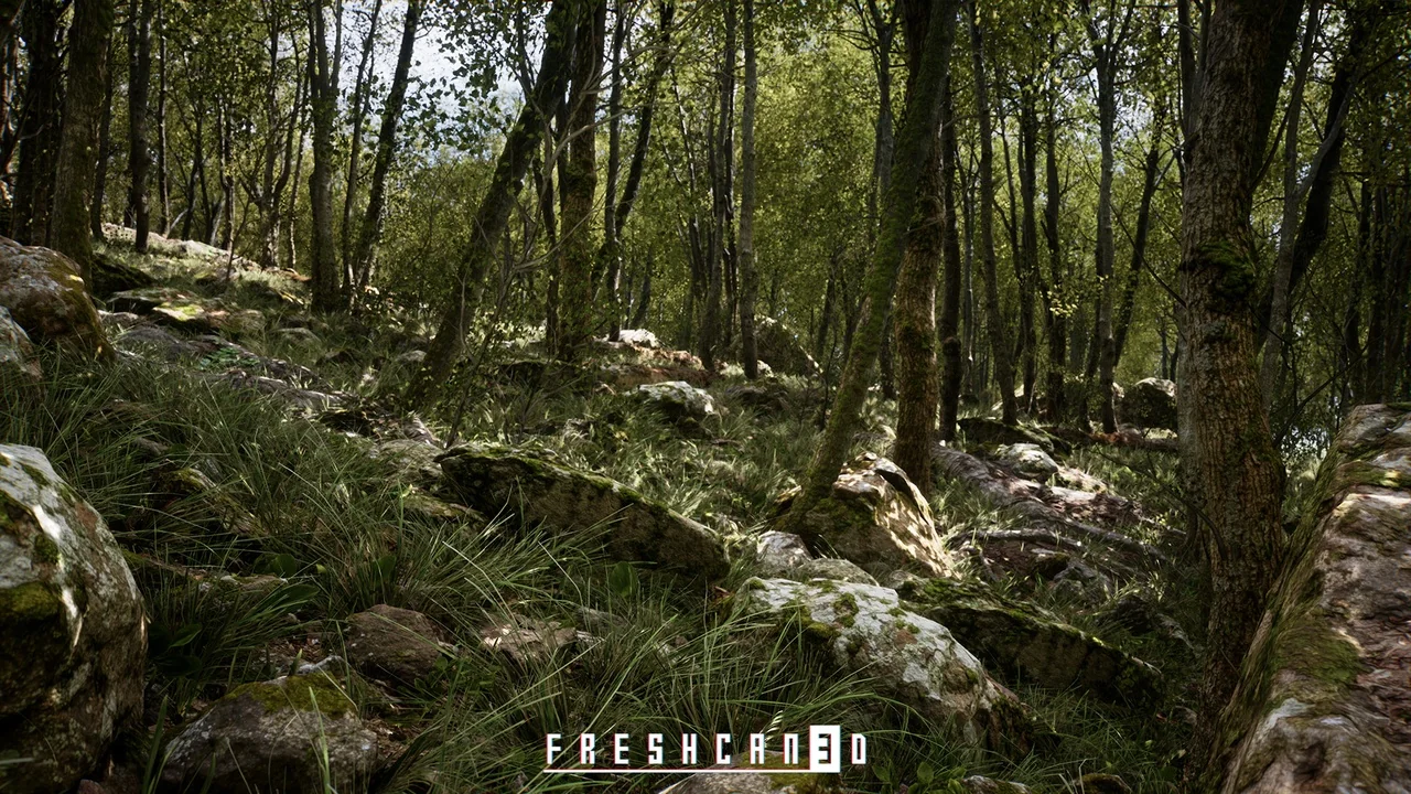 Procedural Oak Forest ( Forest , Winter Forest , Spring Forest , Autumn Forest ) asset