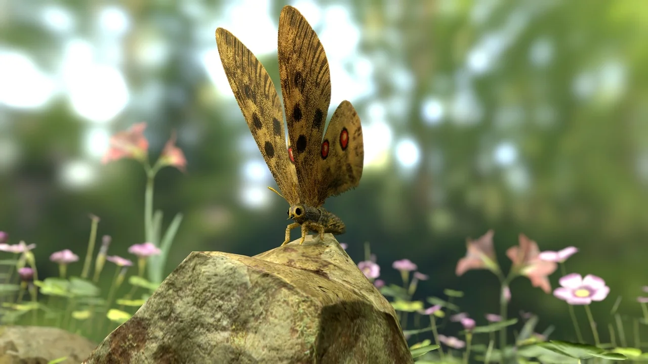 Butterflies Collection (BP, Niagara + AI) asset
