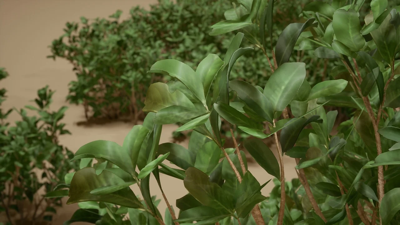 Foliage VOL.9 – Coyote Bushes (Nanite and Low Poly) asset