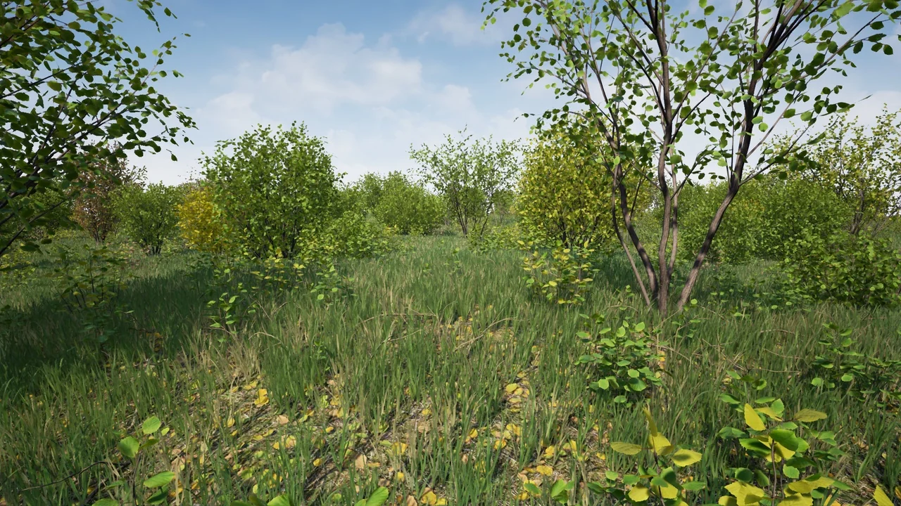 Hazel Bushes asset