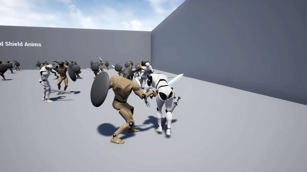 Sword and Shield Anims asset