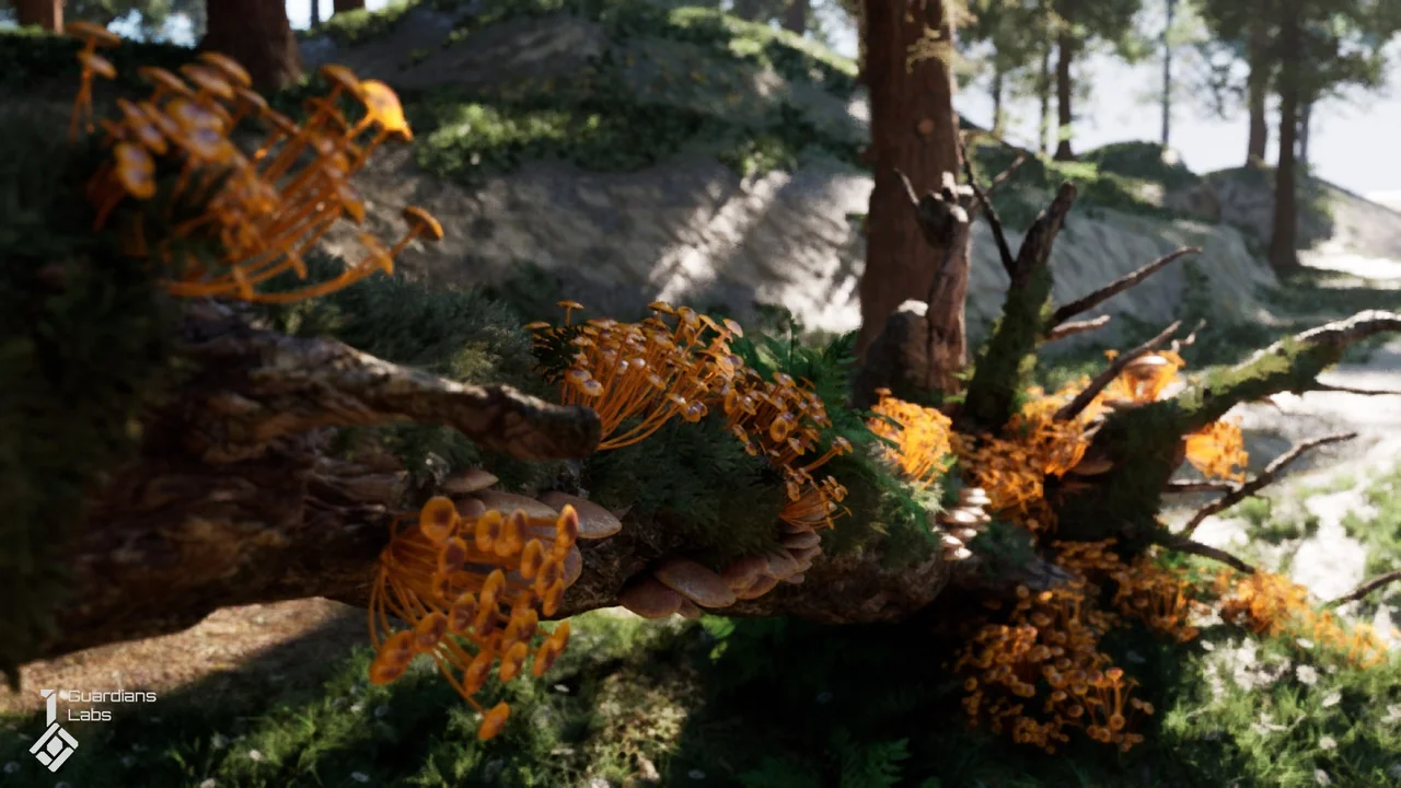 Forest Fungi – Mushroom Pack asset