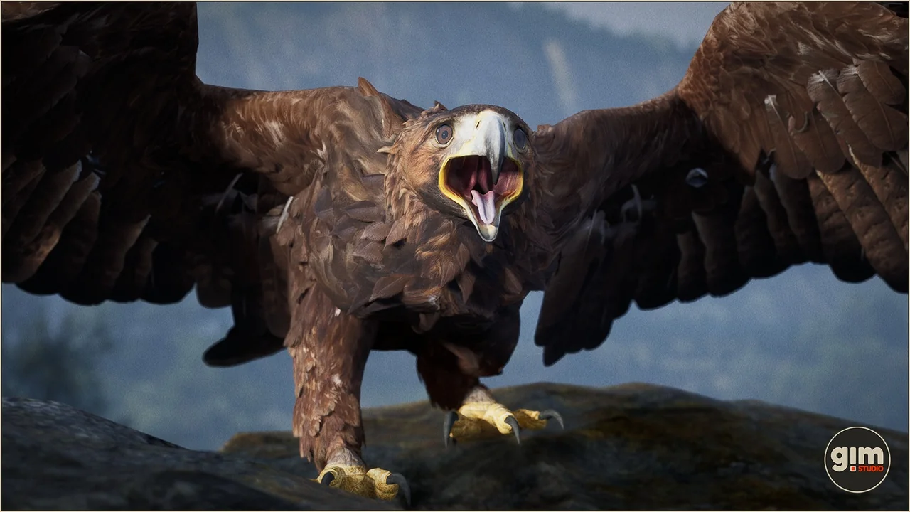 Animalia – Bald and Golden Eagle asset