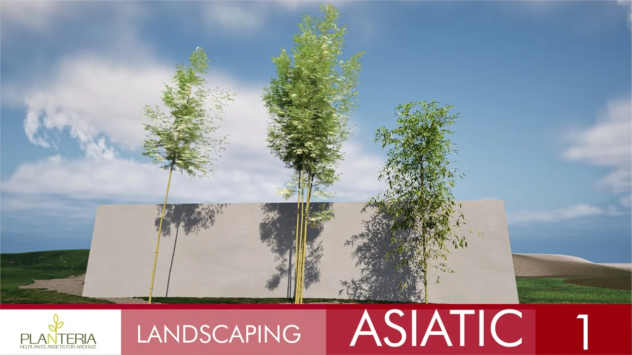 Landscaping Asiatic 1 asset