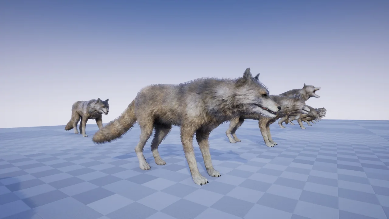 ANIMAL VARIETY PACK asset