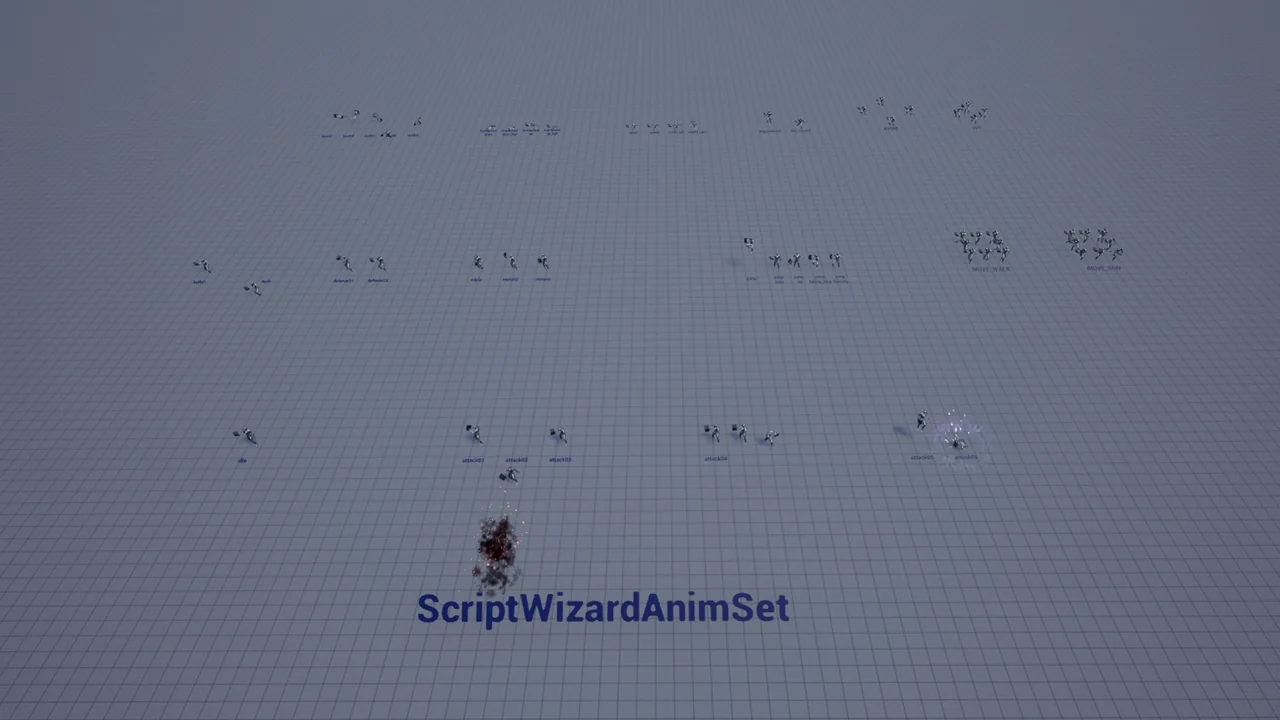 Script Wizard Anim Set asset