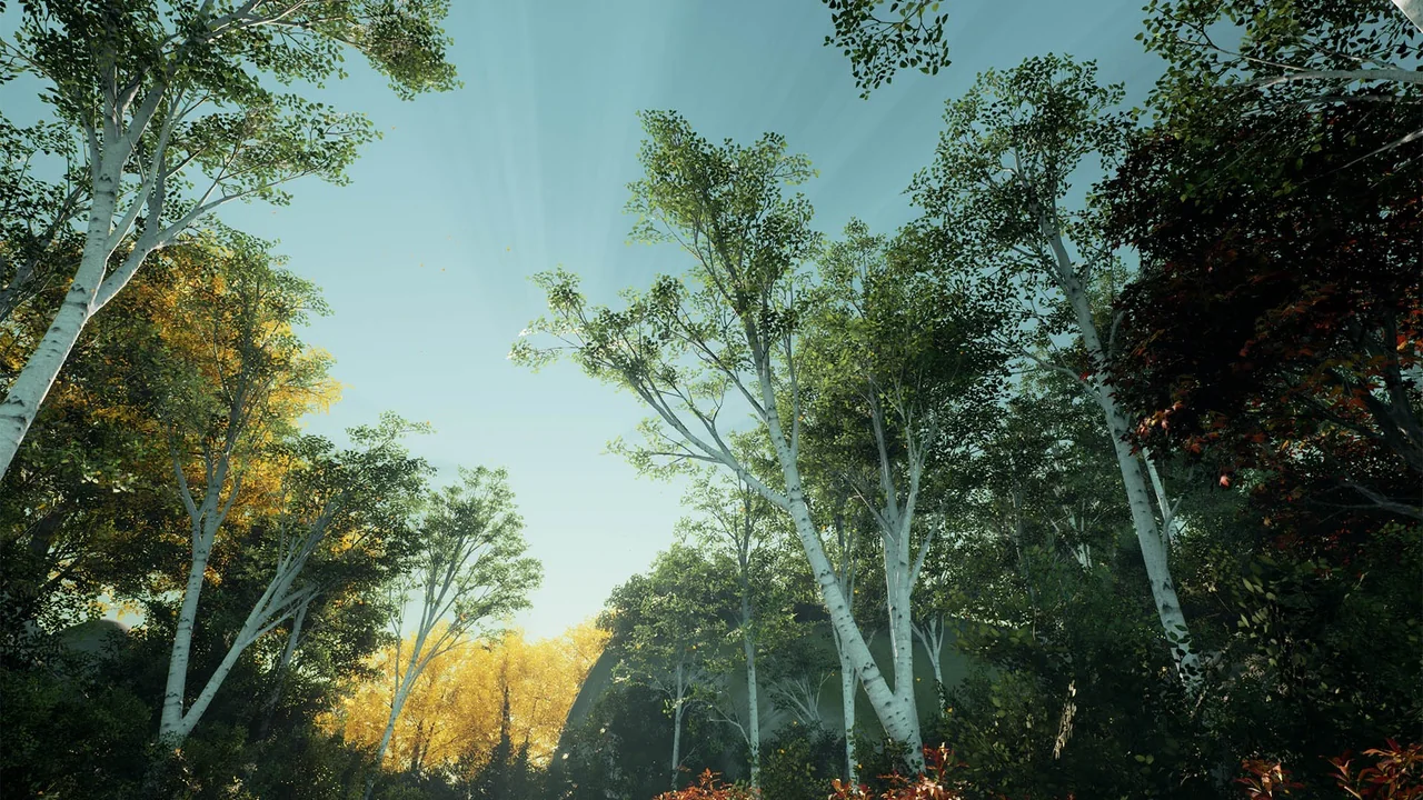 XBH TREE Vol. 1 asset