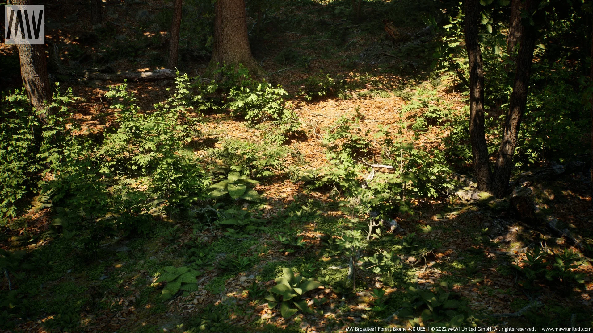 MW Broadleaf Forest Trees Biome asset