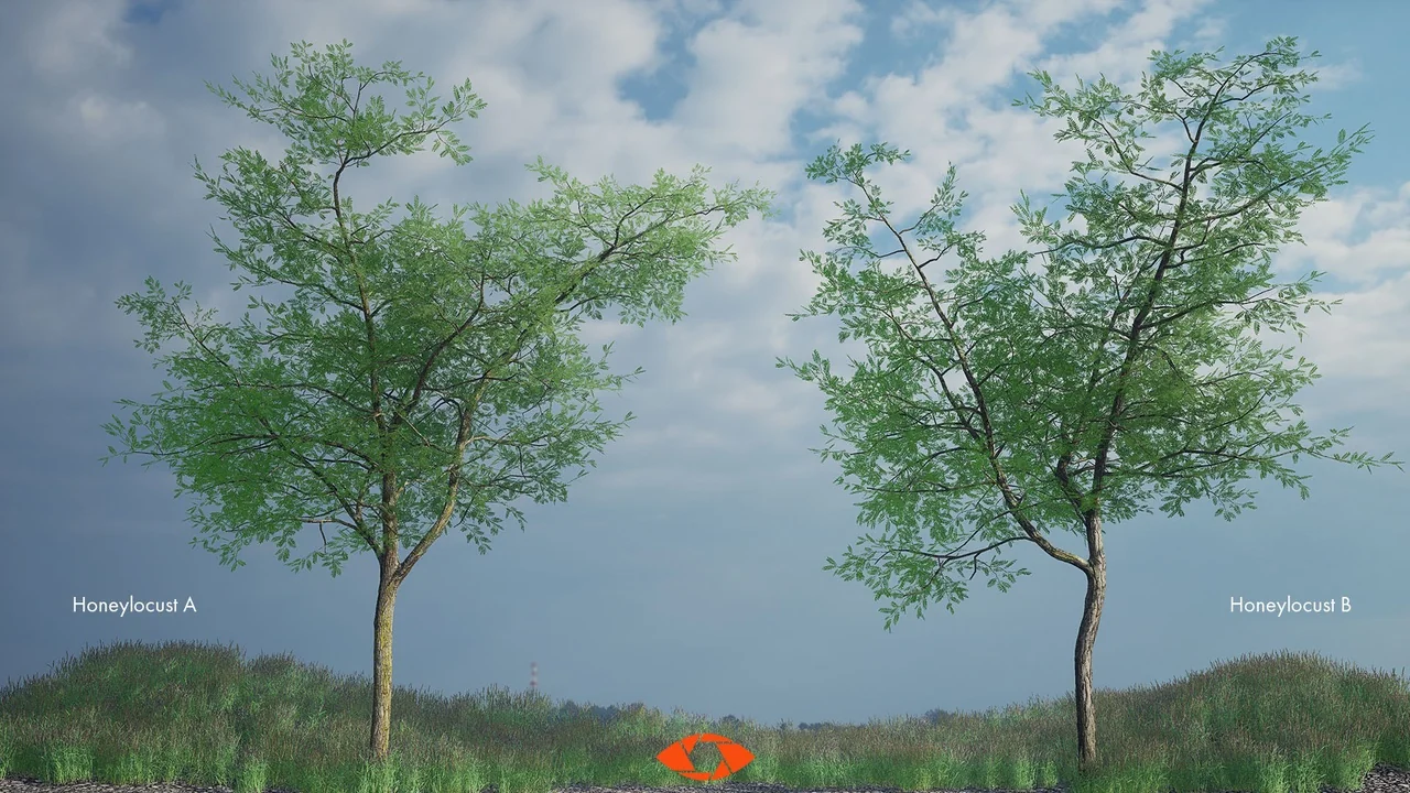 Scanlabz Trees _ Honeylocust Tree asset