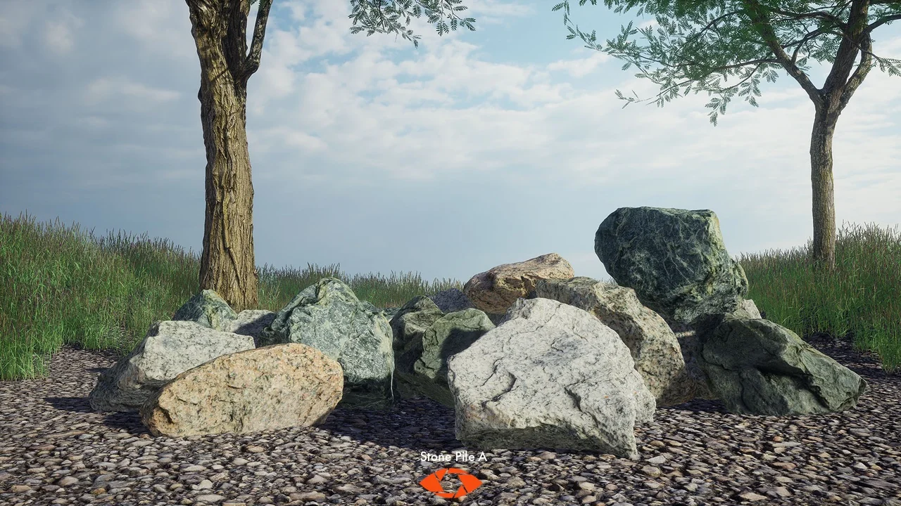 Scanlabz Trees _ Honeylocust Tree asset