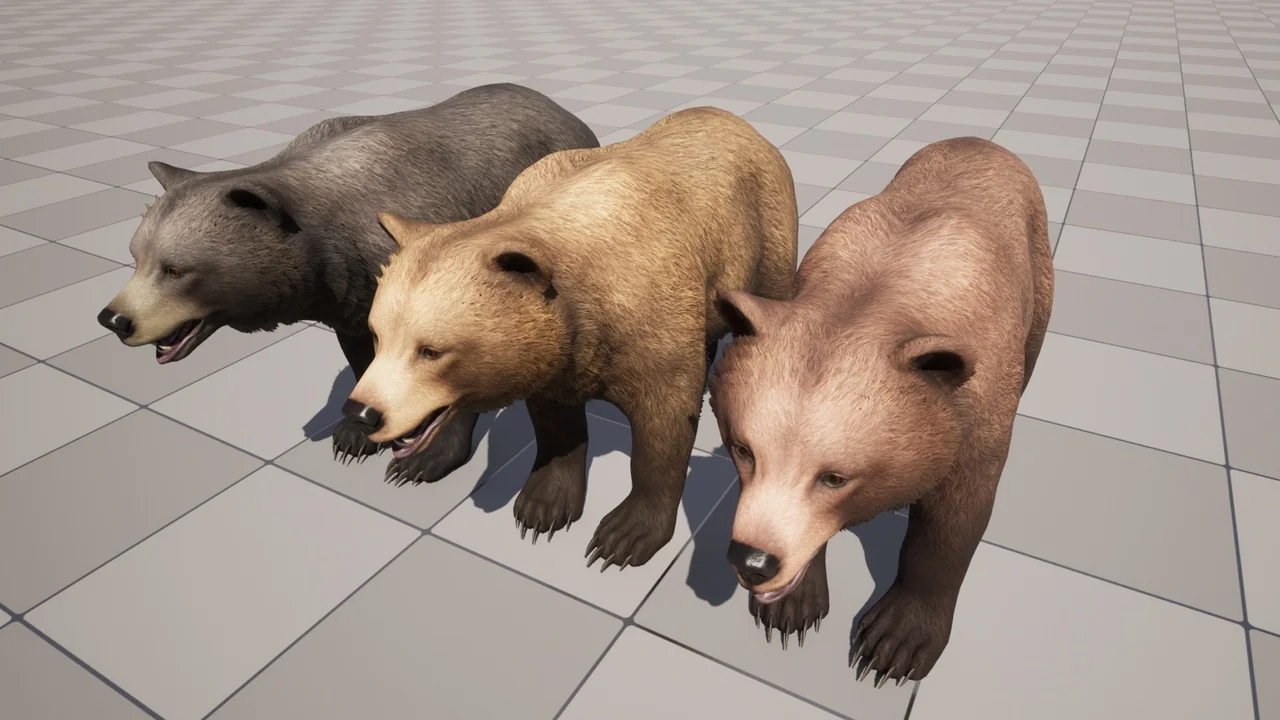 Bear – Female asset