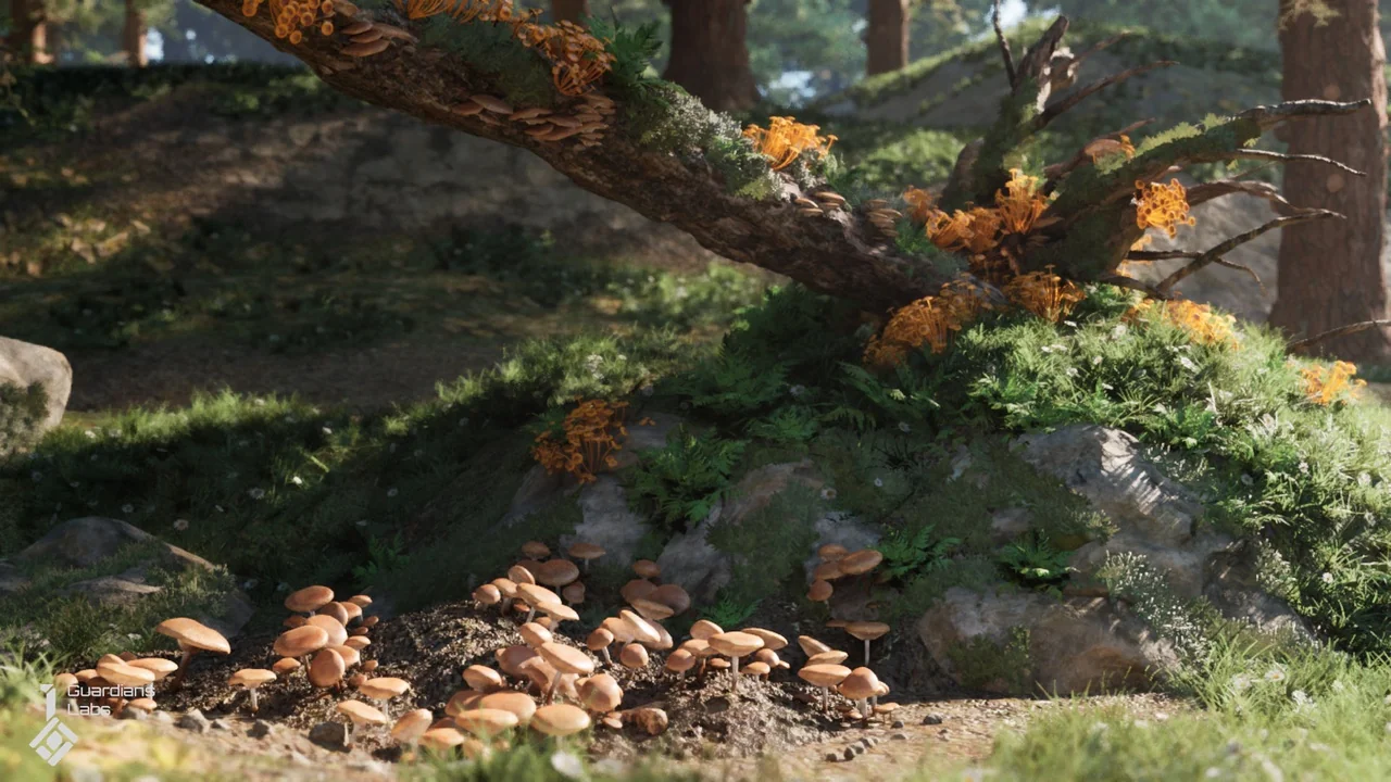 Forest Fungi – Mushroom Pack asset