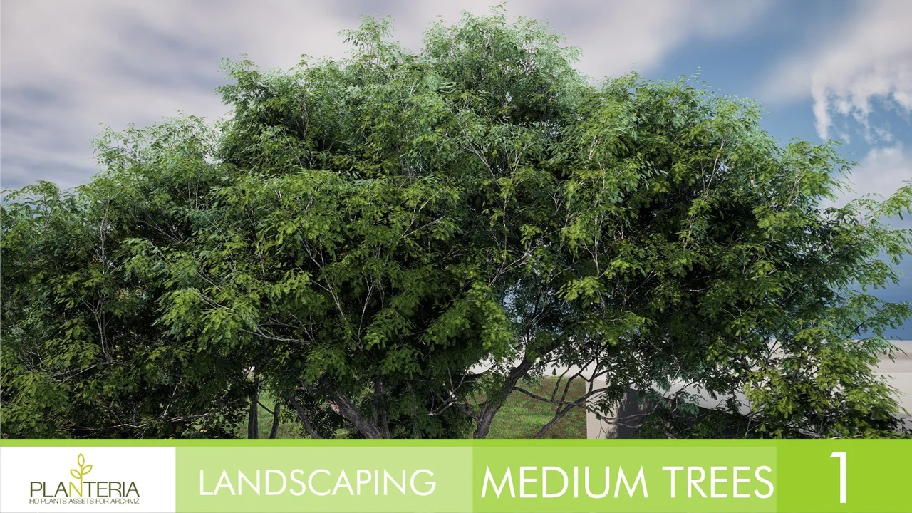 Landscaping Medium Trees Vol. 1 asset