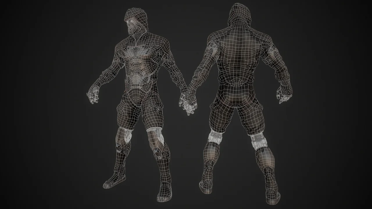 Cyborg asset