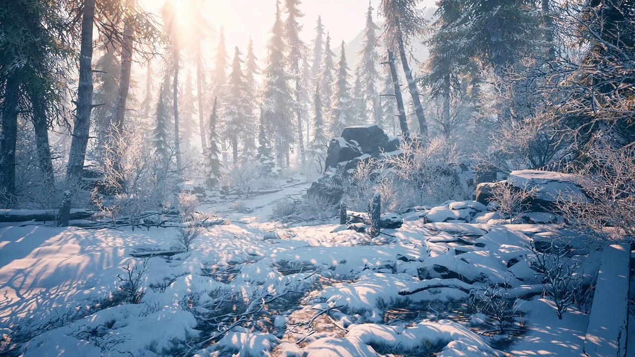 Winter Environment – Nature Pack asset