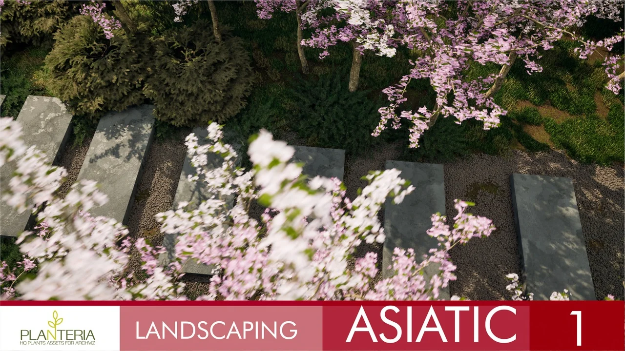 Landscaping Asiatic 1 asset