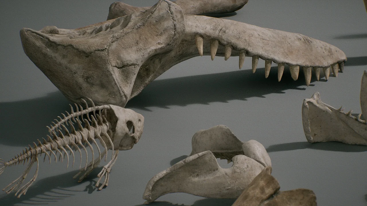 Bones VOL.1 – Animal Bones 1 (Nanite + Low Poly) asset