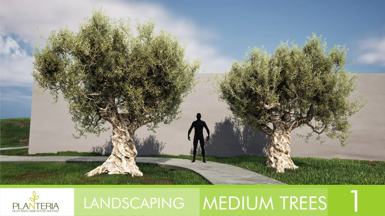 Landscaping Medium Trees Vol. 1 asset