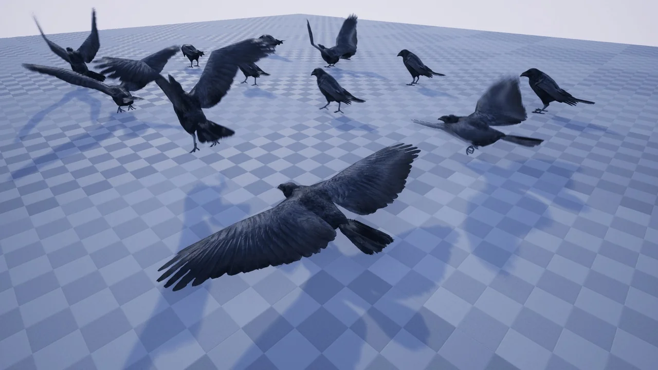 ANIMAL VARIETY PACK asset