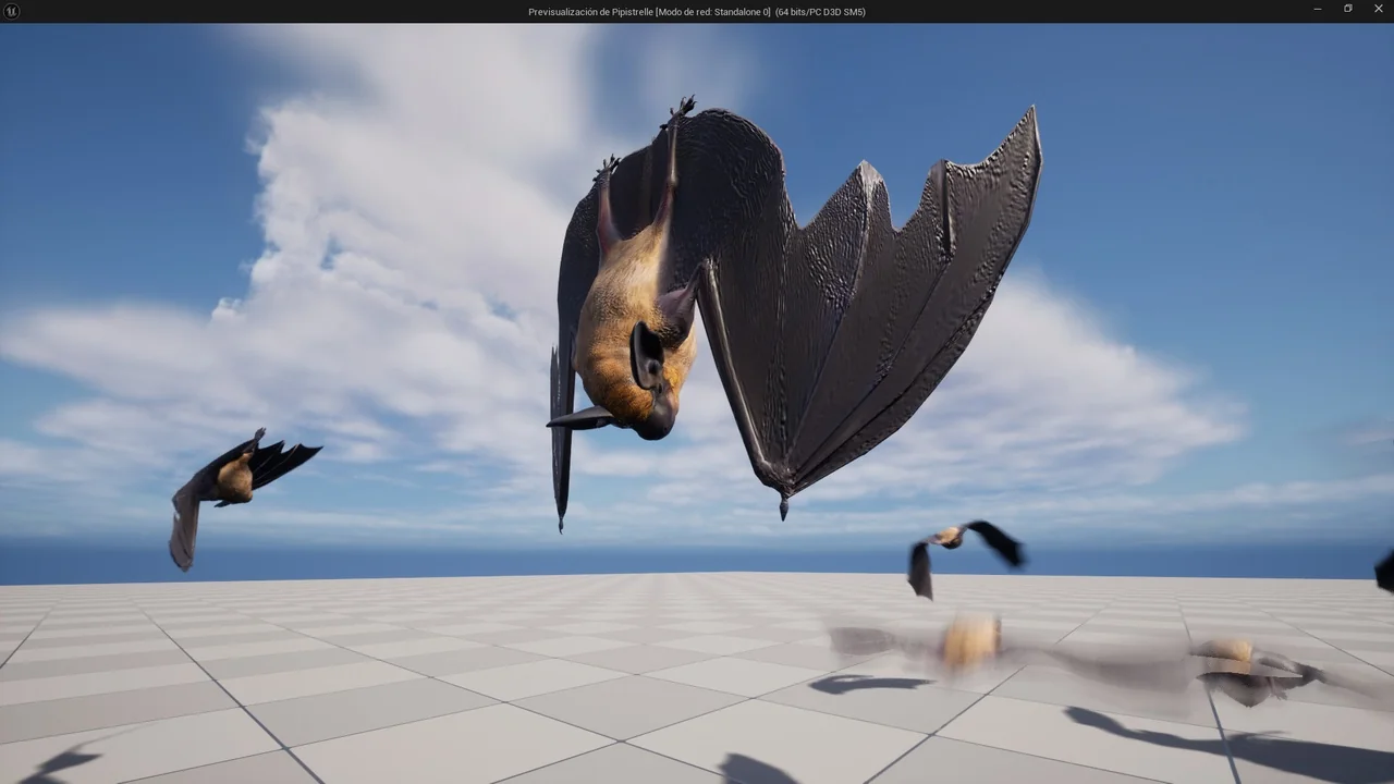 Common Pipistrelle Bat asset