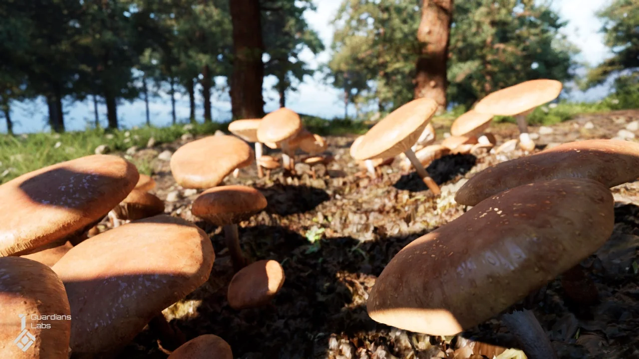 Forest Fungi – Mushroom Pack asset