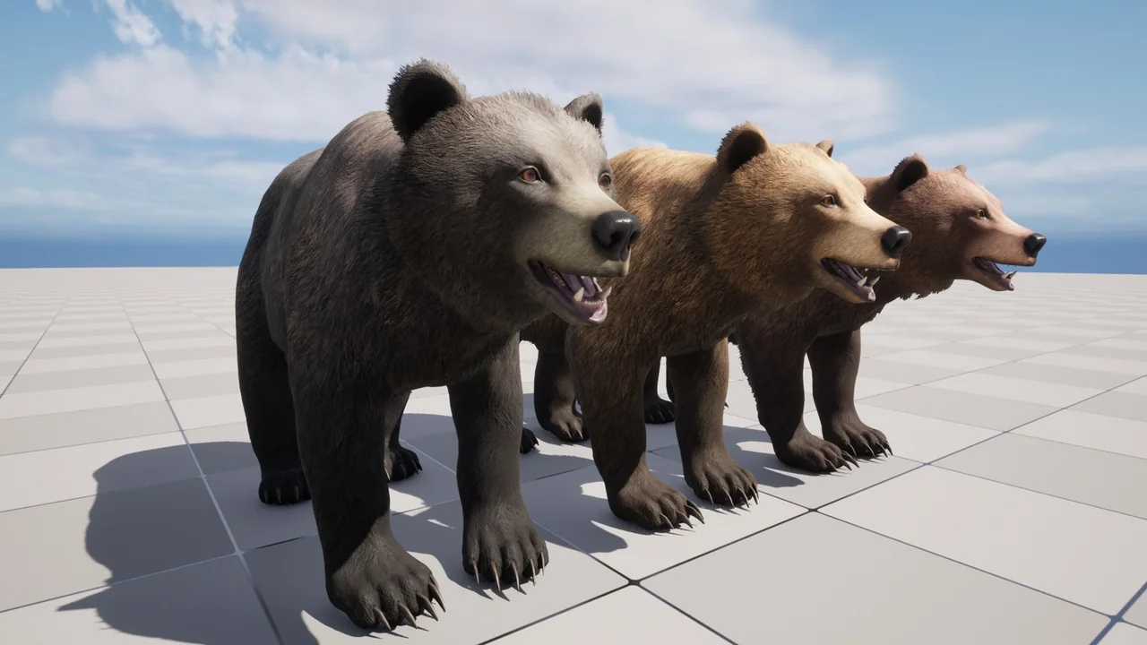 Bear – Female asset