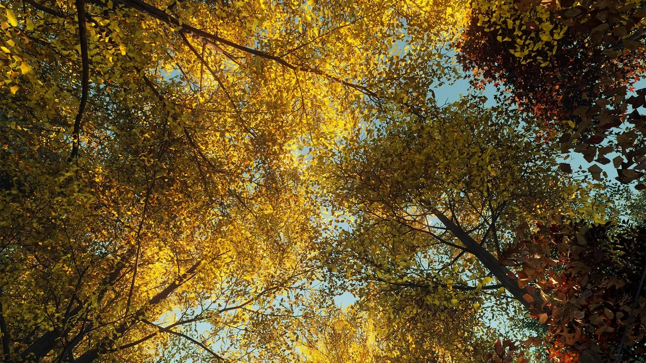 XBH TREE Vol. 1 asset