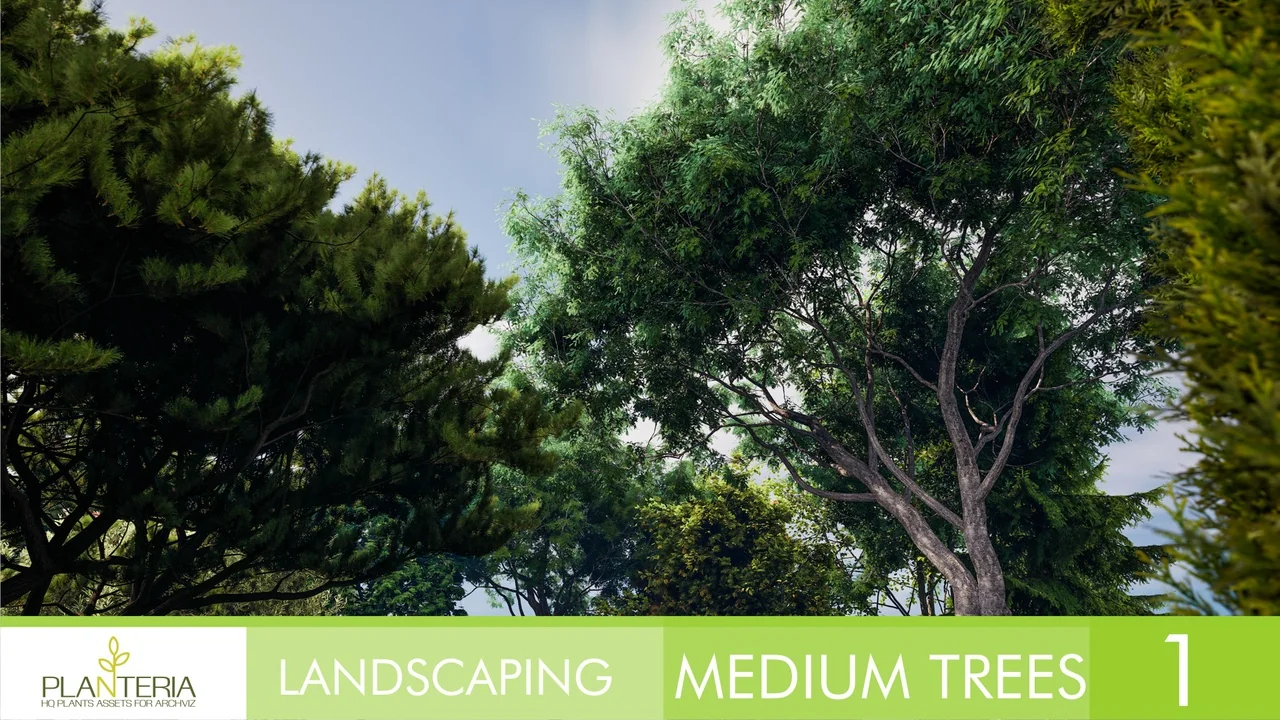 Landscaping Medium Trees Vol. 1 asset
