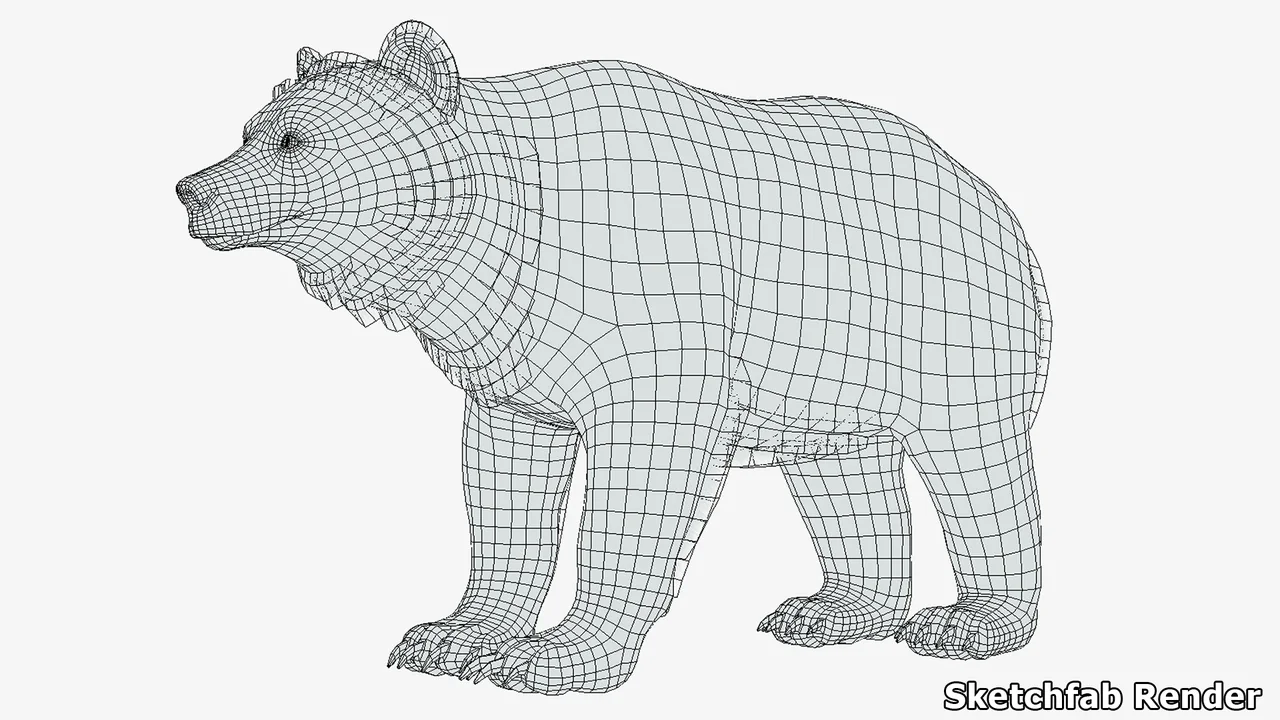 Bear – Female asset