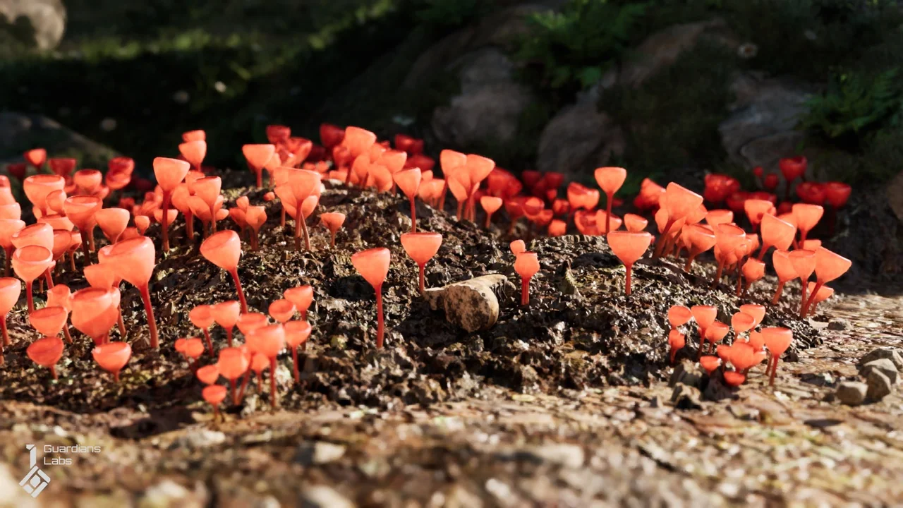 Forest Fungi – Mushroom Pack asset