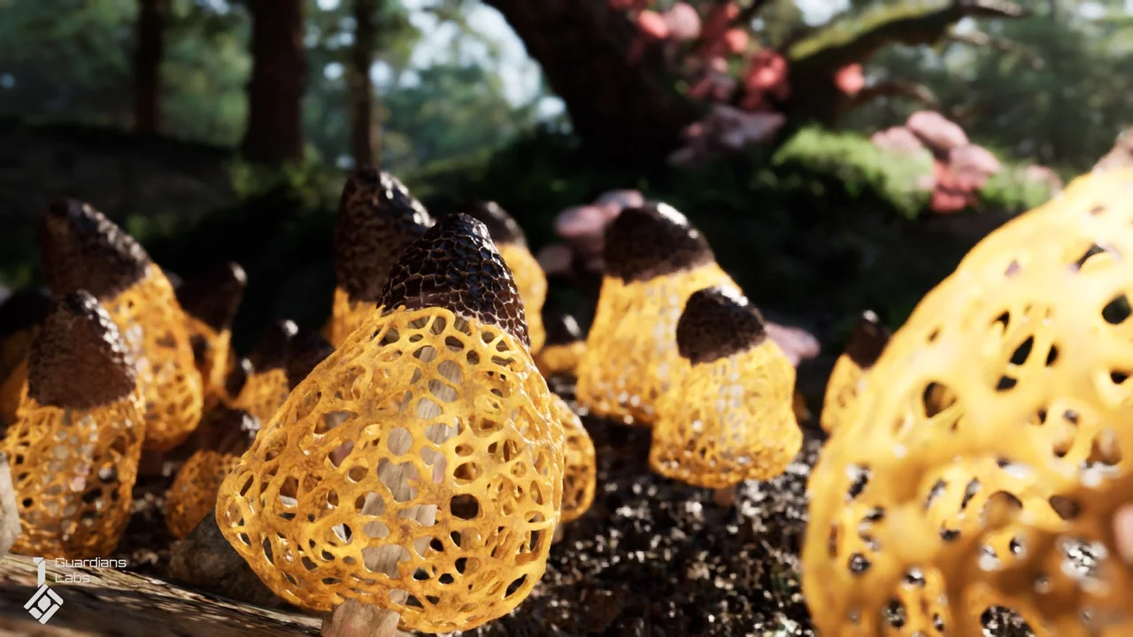 Forest Fungi – Mushroom Pack asset