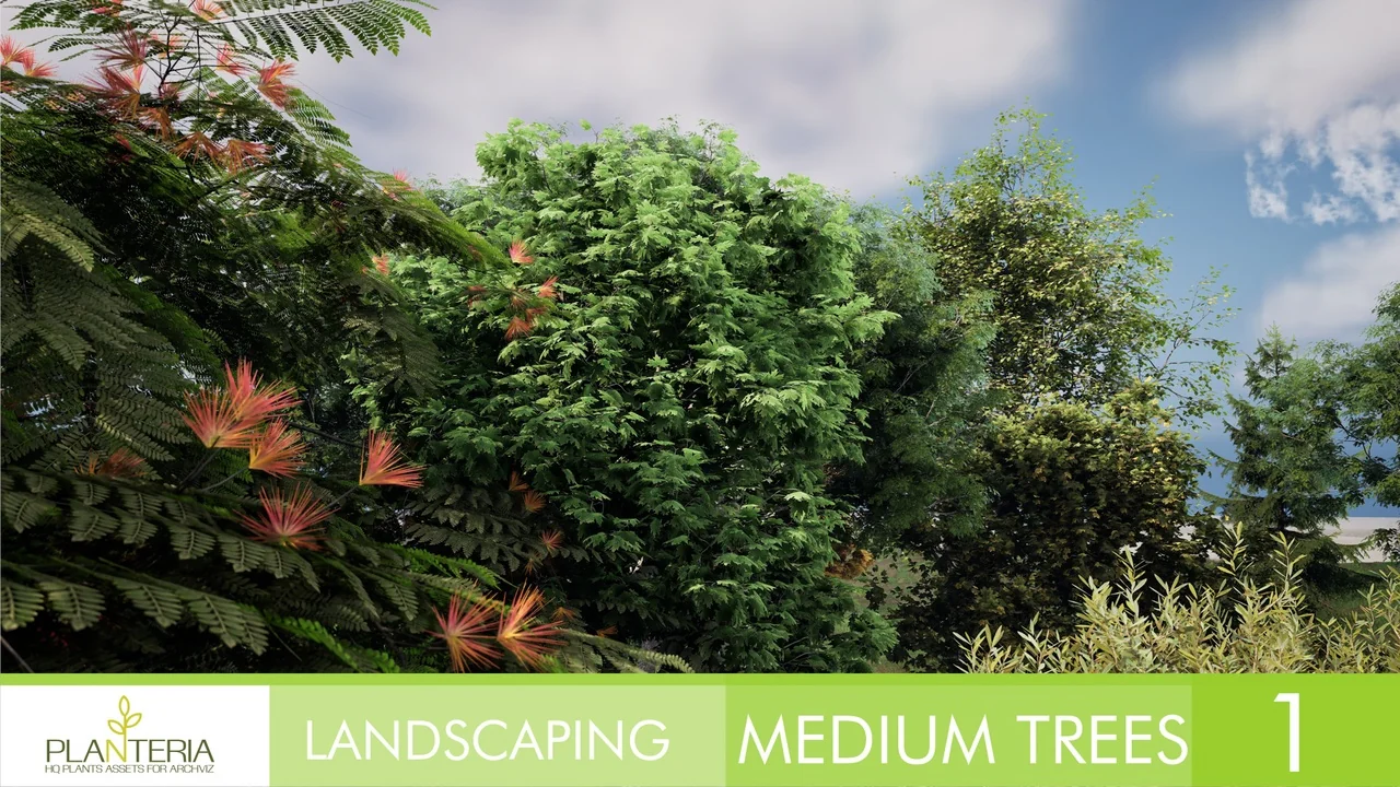 Landscaping Medium Trees Vol. 1 asset