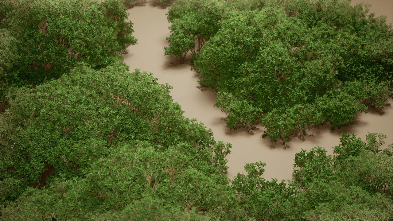 Foliage VOL.9 – Coyote Bushes (Nanite and Low Poly) asset